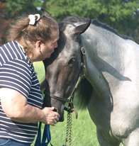 Holly Schroeder loves  her blue roan Tennessee Walker stallions